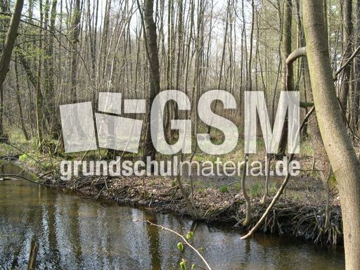 Bachlauf 1.jpg